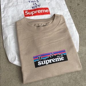 Aaron’s World RARE Supreme Patagonia Tee